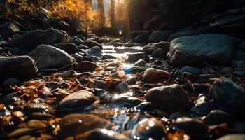 Water flowing over pebbles in tranquil forest generated by AI photo