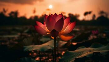 Tranquil lotus blossom reflects beauty in nature generated by AI photo