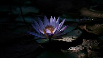 Tranquil water garden showcases beauty in nature with lotus blossom generated by AI photo