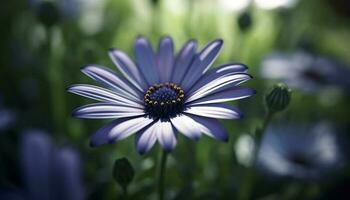 Vibrant chamomile blossom in soft focus, surrounded by wildflowers generated by AI photo