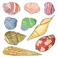 Vector Set of Beautiful Seashells. Decorative Colorful Different Graphic Shells