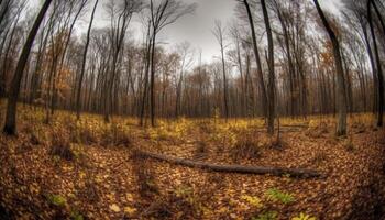 misterio en el vibrante otoño paisaje azul montañas y amarillo hojas generado por ai foto