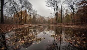 Falling leaves paint vibrant autumn landscape, tranquil pond reflects beauty generated by AI photo