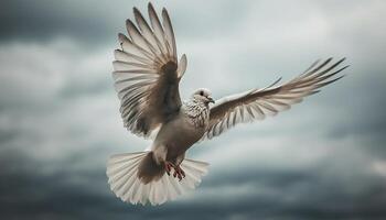 A tranquil scene of a homing pigeon hovering mid air generated by AI photo