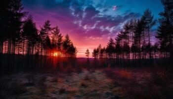 Silhouette of pine tree back lit by orange sunset sky generated by AI photo