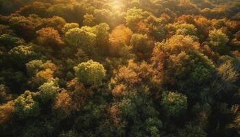 The vibrant autumn tree stands tall in the multi colored forest generated by AI photo