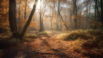 A tranquil autumn forest vibrant colors, mystery, and wilderness beauty generated by AI photo