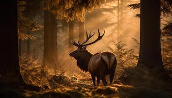 un majestuoso ciervo roza en el tranquilo otoño bosque generado por ai foto