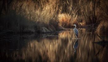 un garza familia vadear en el pantano a puesta de sol generado por ai foto