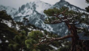 tranquilo escena de hojas perennes bosque, nieve cubierto montaña pico en antecedentes generado por ai foto