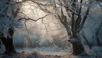 The frosty winter forest glows in the tranquil sunset beauty generated by AI photo