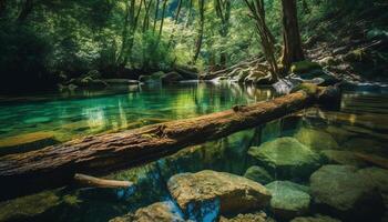 Tranquil scene of flowing water in a non urban forest generated by AI photo