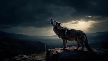 un majestuoso lobo clamoroso a el montaña pico en oscuridad generado por ai foto