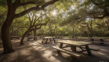 A tranquil scene of relaxation on a bench in nature generated by AI photo