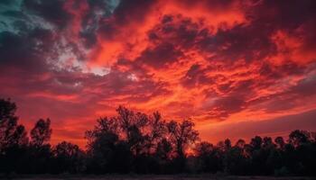 dorado prado siluetas en contra dramático cielo a oscuridad, tranquilo belleza generado por ai foto