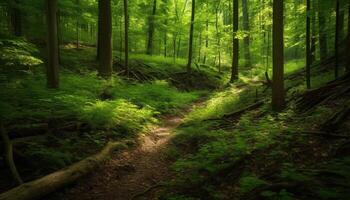 Walking through the tranquil forest, surrounded by vibrant green foliage generated by AI photo