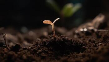 New life sprouts from wet dirt, a symbol of growth generated by AI photo