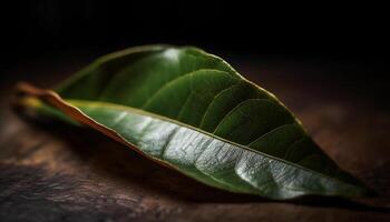 Vibrant botany in nature fresh leaves on old branch generated by AI photo