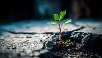 New life sprouts from the dirt, a symbol of growth generated by AI photo