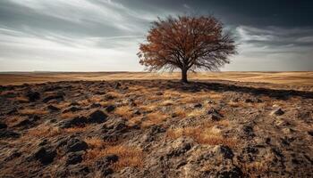 A tranquil scene of a yellow sunset over a meadow generated by AI photo