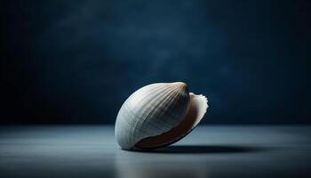 Underwater beauty Close up of fragile gastropod shell on dark coastline generated by AI photo