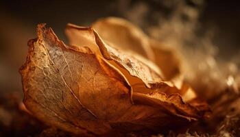 Vibrant flower petals on crumpled paper in soft focus foreground generated by AI photo