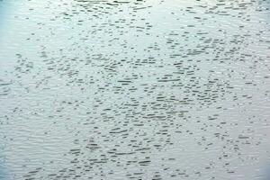 The texture of the water of the river. Natural water background with ripples and waves. photo