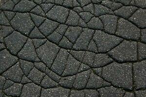 A network of black cracks on the asphalt surface. Road texture with weathered surface, showcasing the effects of time and wear. photo