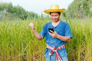 Farmers are exploring the rice fields. photo
