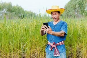 Farmers are exploring the rice fields. photo