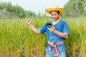 Farmers are exploring the rice fields. photo