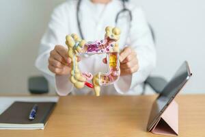 Doctor with human Colon anatomy model and tablet. Colonic disease, Large Intestine, Colorectal cancer, Ulcerative colitis, Diverticulitis, Irritable bowel syndrome and Digestive system photo