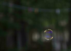 colorful rainbow soap bubble on the background of green trees outside photo