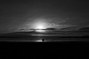 picturesque ocean landscape with the setting sun in a tropical country during summer holidays photo