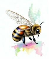 bee on a flower on a white background watercolor graphics photo