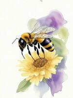 bee on a flower on a white background watercolor graphics photo