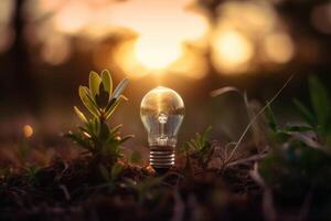 Light bulb on the ground with nature background, concept of idea. Ecological energy concept with a small plant inside of lightbulb, photo