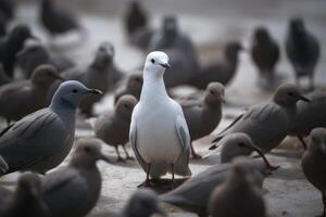 grupo de gaviotas en el playa, selectivo enfocar. en pie fuera desde el multitud, un blanco pájaro en pie fuera desde otros, ai generado foto