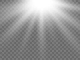 Sunlight on a background. Isolated white rays of light. Vector illustration