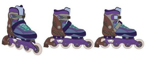 Roller Skates. Sports shoes for professional roller skating. Color scheme of the model of roller skates from the front and inside. Detailed drawing. vector