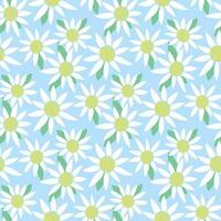 Chamomile flower seamless pattern vector