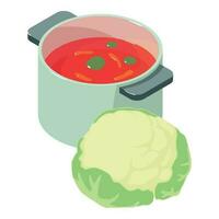 primero plato icono isométrica vector. vegetal rojo sopa y coliflor cabeza icono vector