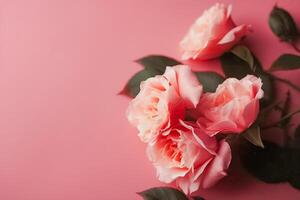 aislado rosado rosas en blanco antecedentes ai generado foto