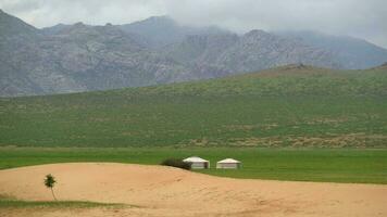 Mongol yurts in Mongools gobi woestijn video