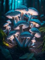 Colorful, glowing mushrooms in a mystical forest. Created with software. photo