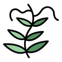 Lentil garden plant icon vector flat