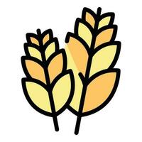 Wheat plant icon vector flat