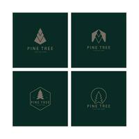 sencillo pino o abeto árbol logo,siempreverde.para pino bosque,aventureros,camping,naturaleza,insignias y negocio.vector vector