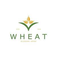 Agriculture Wheat logo template vector icon design