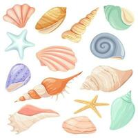 dibujos animados conchas marinas y estrella de mar, tropical Oceano concha. caracol, ostra, almeja caparazón, marina molusco conchas, verano playa elementos vector conjunto